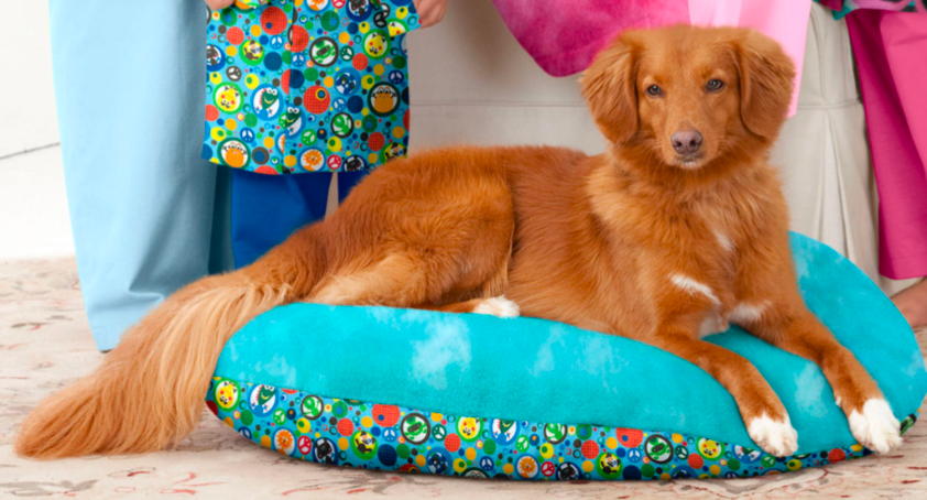 Simplicity 1946 Learn To Sew Family robes with Dog Bed